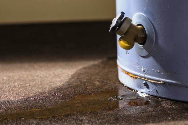  Pinconning, MI Water damage restoration Pros