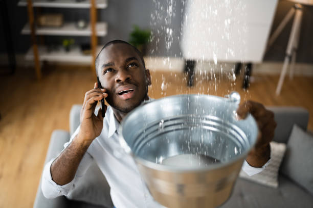 Best Commercial water damage restoration  in Pinconning, MI