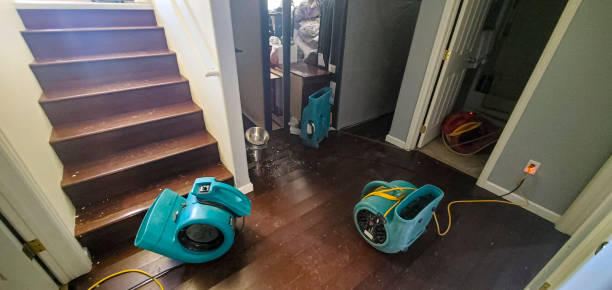 Best Local water damage restoration  in Pinconning, MI