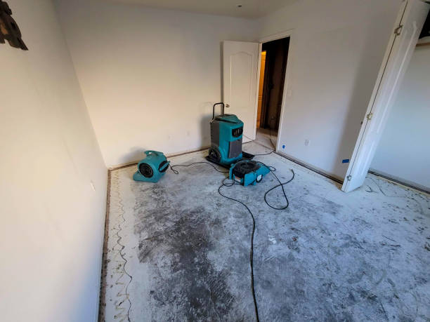 Best 24-hour water damage restoration  in Pinconning, MI