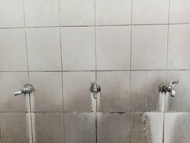 Best Sewage cleanup and water damage restoration  in Pinconning, MI