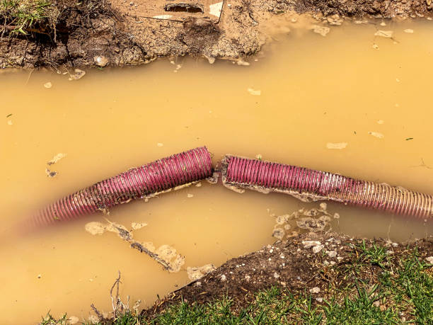 Best Water damage restoration experts  in Pinconning, MI