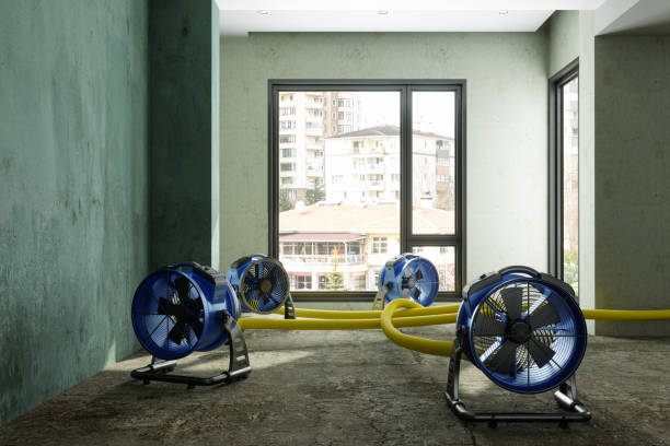 Best Fire Damage Restoration  in Pinconning, MI