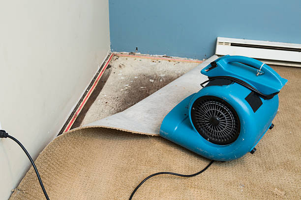 Best Carpet water damage restoration  in Pinconning, MI